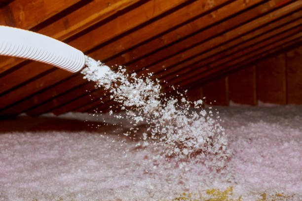 Best Insulation Maintenance and Repair in Forest Park, OH