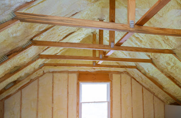 Best Geographic-Specific Insulation Services in Forest Park, OH