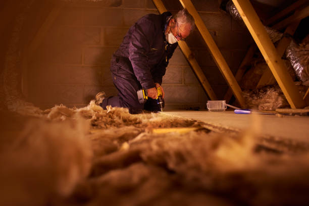 Types of Insulation We Offer in Forest Park, OH